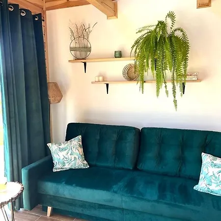 Sklonowane Pod Czarna Gora Holiday home *