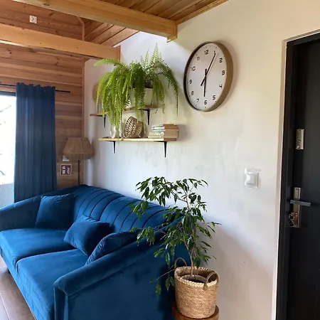 Sklonowane Pod Czarna Gora *